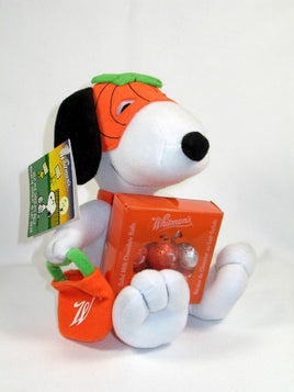 Masked Snoopy Plush Doll